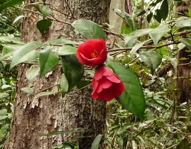 P1070805