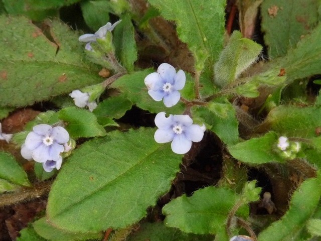 P1070768