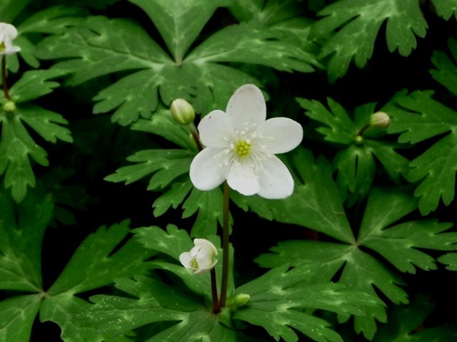 P1070780