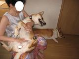 ナナ迷惑だぁ2