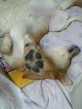 どっこいしょ