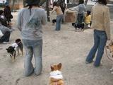 馬をかこんで