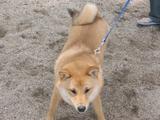 きっとあきと?