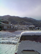 春の雪2