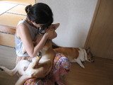 ナナ迷惑だぁ