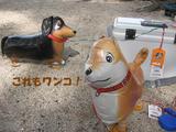 あきとくんちの不思議なワン達