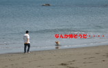 海に入るウラン