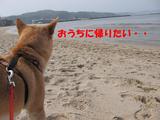 遠い目をするナナ