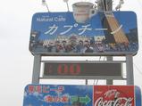 カプチーノ発見