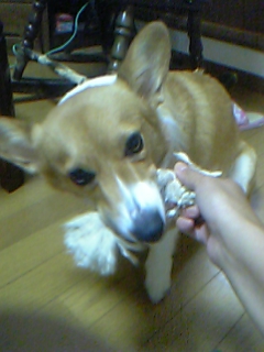 離さないわよぉ〜