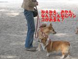 うらんなな