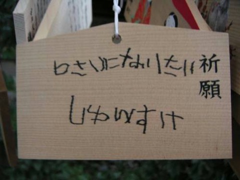 6さい