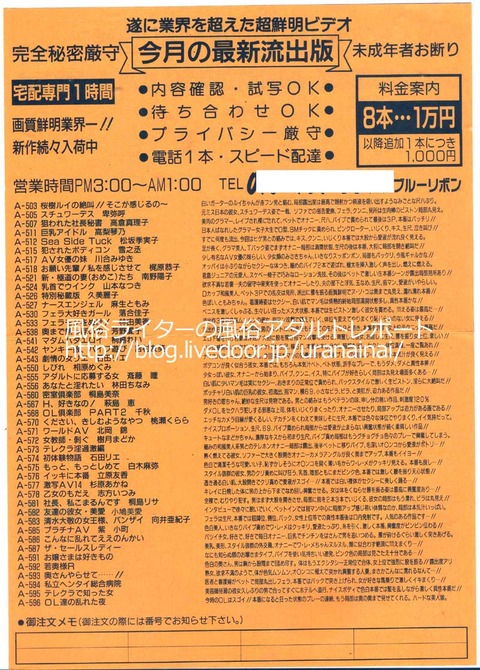 アダルトチラシ_1_ブル-リボン_表