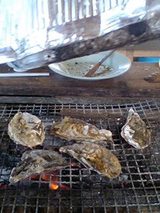45c231a8.jpg