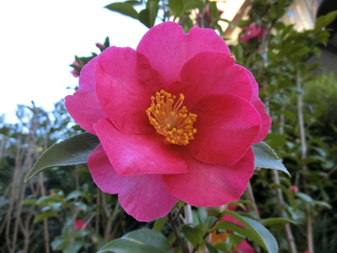 CIMG0685