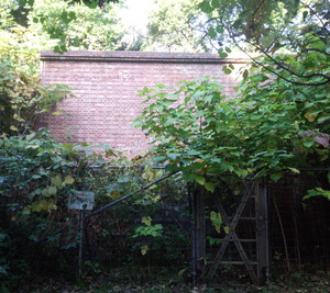 IMG_20151121_082953895