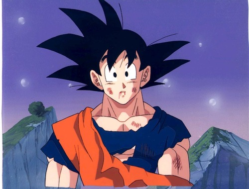 goku5