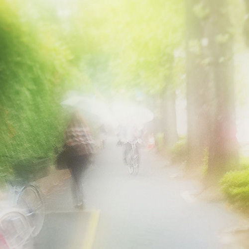 5101064092_26623c60a6