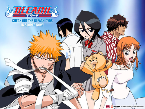 bleach_episodes_1-52_307_1024