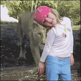 118f3196a6bab632485e4db1f6c5ad18