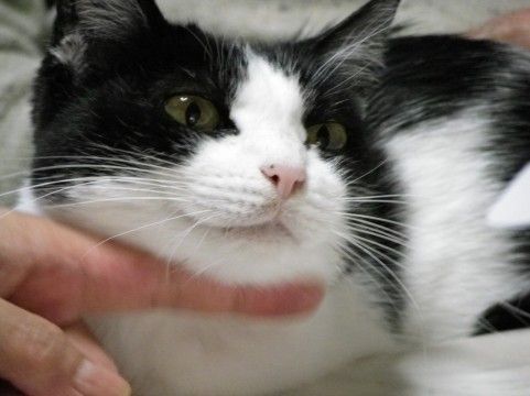 20111229nakata02