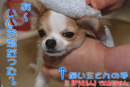 あーー、いいお湯だった。
