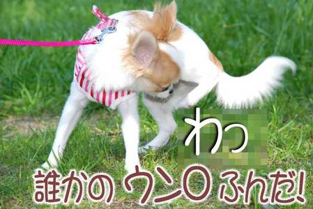 うらら♀ に何が!!!