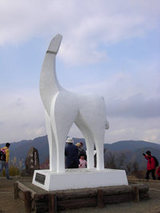 陣馬山山頂