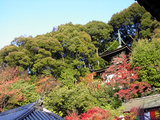 f848d136.jpg