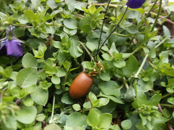 DSCF8607