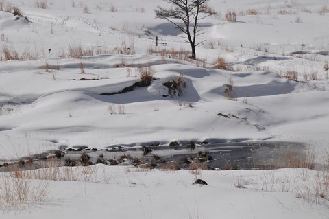 ⑪DSC_8852-3
