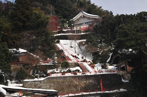 ⑥DSC_8390a-3