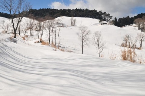 ②DSC_8715-3