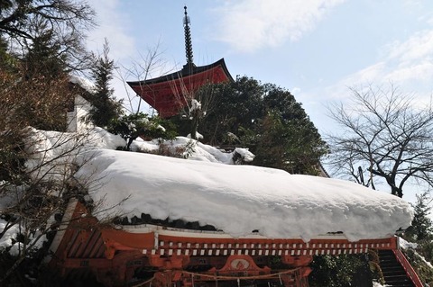 ⑧DSC_8346a-3