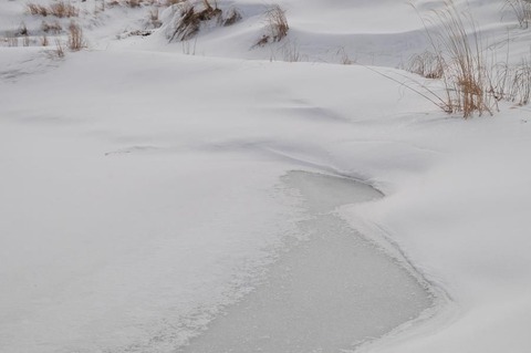 ⑥DSC_8687-3