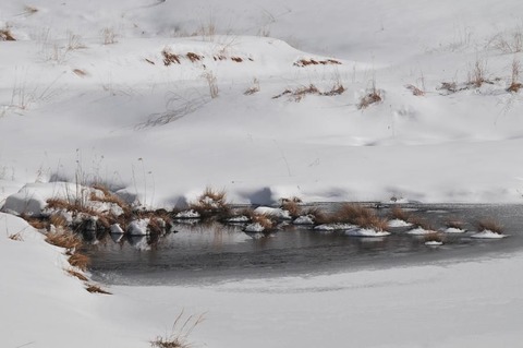 ⑦DSC_8773-3