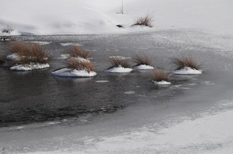 ⑧DSC_8790-3