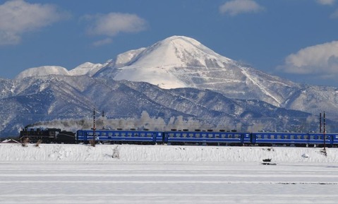 5° tori-4