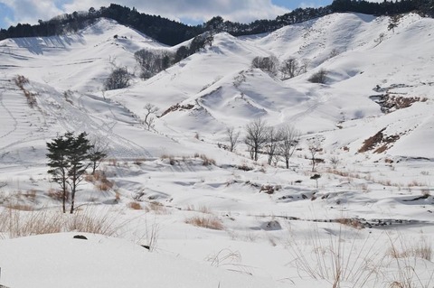 ①DSC_8867-3