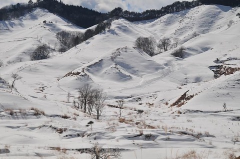 ⑩DSC_8872-3