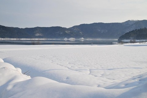 ⑫DSC_8586-3