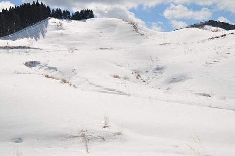 ⑭DSC_8815-3