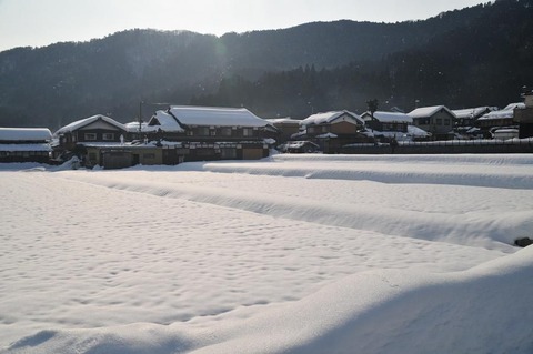③DSC_8582-3
