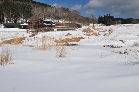 ⑰DSC_8758-3