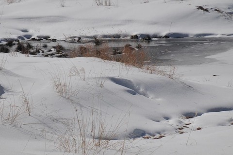 ⑫DSC_8805-3