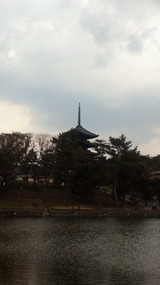 興福寺五重塔