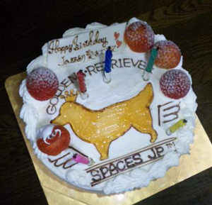 20091025cake01