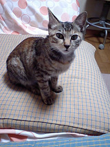 878c8952.jpg