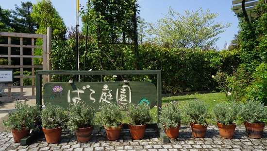 0508hamadarabaraen01