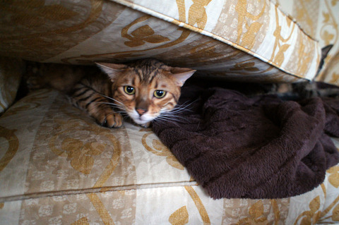 DSC07608_edited-1